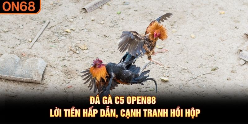 Đá gà C5