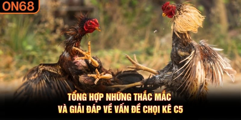 Tổng hợp những thắc mắc v&agrave; giải đ&aacute;p về vấn đề chọi k&ecirc; C5